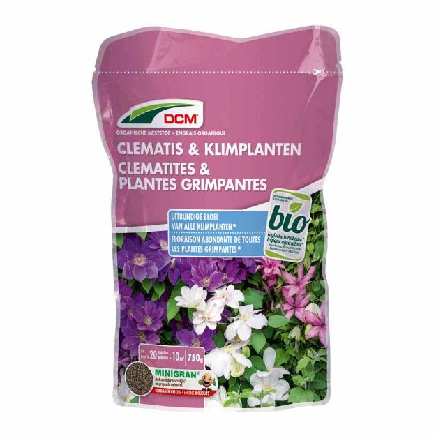 Image de DCM CLEMAT/GRIMP 0,65KG