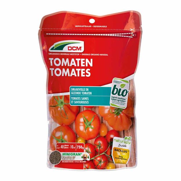 Image de DCM TOMATES 0,65KG