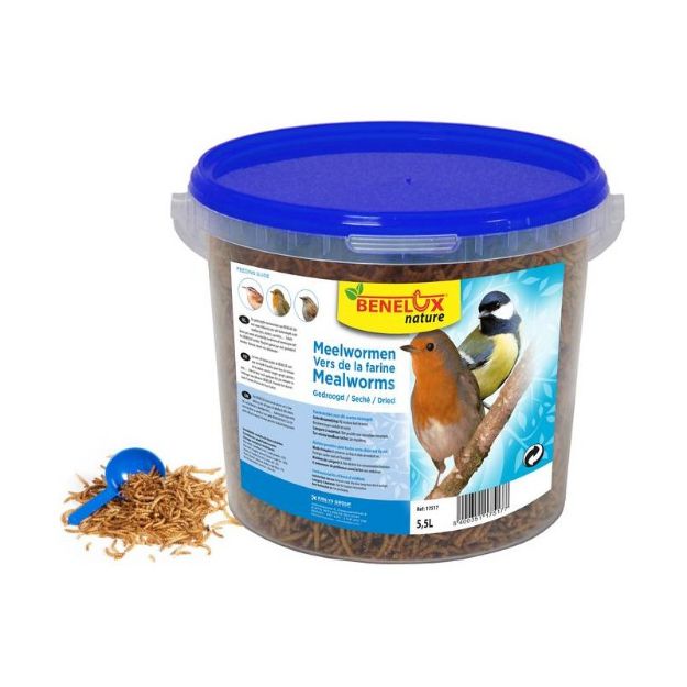 Image de VERS DE FARINE SEAU 5.5 L POUR OISEAUX DU CIEL