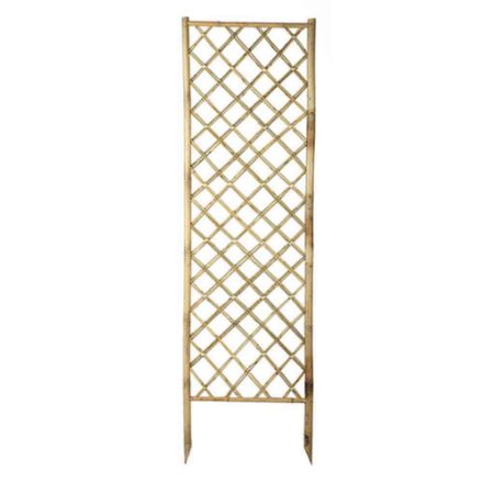 Agrandir l'image de BAMBOO PANEL  décor bambou à planter  0,50x1,70m Image de BAMBOO PANEL  décor bambou à planter  0,50x1,70m