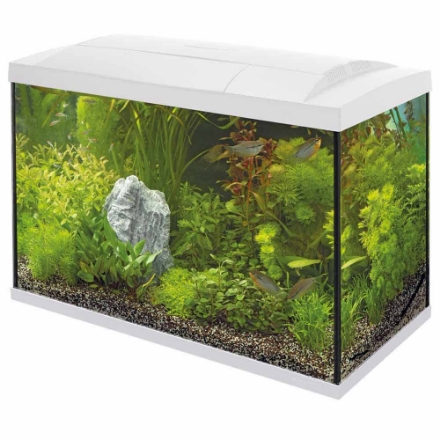 Agrandir l'image de SUPERFISH START 70 TROPICAL KIT BLANC Image de SUPERFISH START 70 TROPICAL KIT BLANC