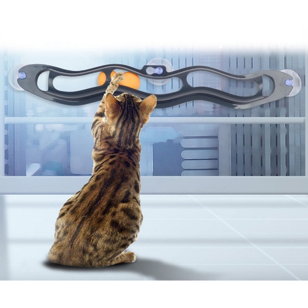 Image de Piste jeu tracknball ANKA