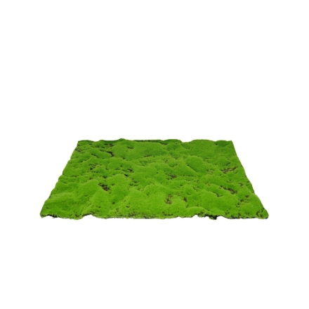 Agrandir l'image de Tapis mousse artificielle moyen 70x50cm - My Village Image de Tapis mousse artificielle moyen 70x50cm - My Village