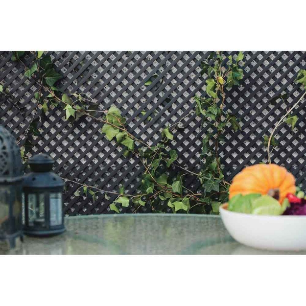 Image de Panneaux trellis décoratif 18 mm PVC Anthracite 1x2m