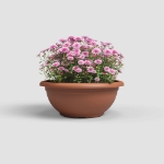 Image de COUPE VENEZIA 30CM terre