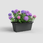 Image de JARDINIÈRE VENEZIA XL 80CM ANTHRACITE