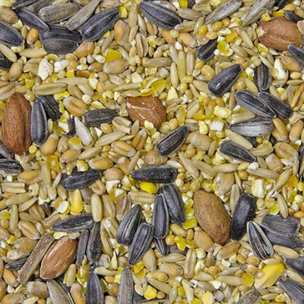 Agrandir l'image de sac de graines premium pour oiseaux  15 kg Image de sac de graines premium pour oiseaux  15 kg