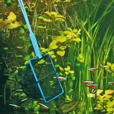 Agrandir l'image de EPUISETTE PREMIUM 15cm fines mailles   JBL Image de EPUISETTE PREMIUM 15cm fines mailles   JBL