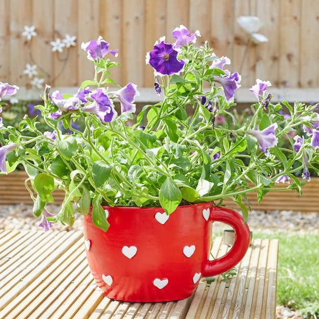 Image de Tasse planters  16x28x21