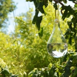 Image de Chasse mouche en verre