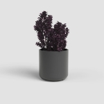 Image de CACHE-POT JUNO 12CM ANTHRACITE