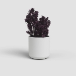 Image de CACHE-POT JUNO 19CM BLANC
