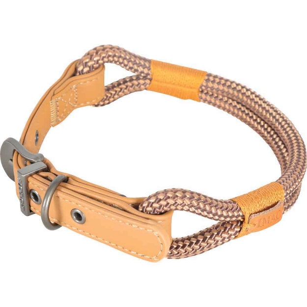 Image de collier chien reg imao hyd 6mm/40cm cho