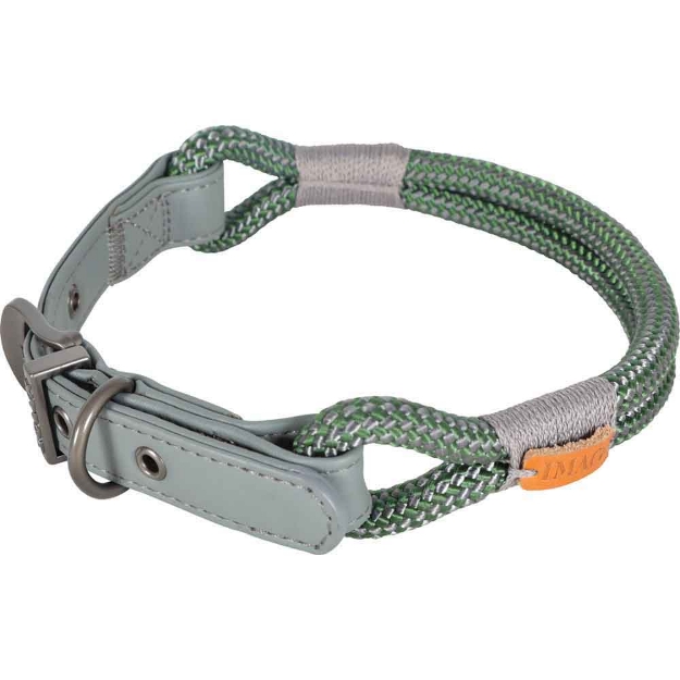 Image de collier chien reg imao hyd 6mm/40cm kak
