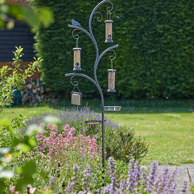 Image de Complete wild wings feeding station 240cm