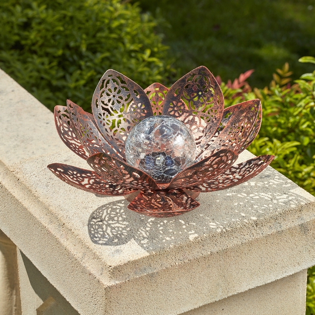 Image de Fleur Lotus Damasque