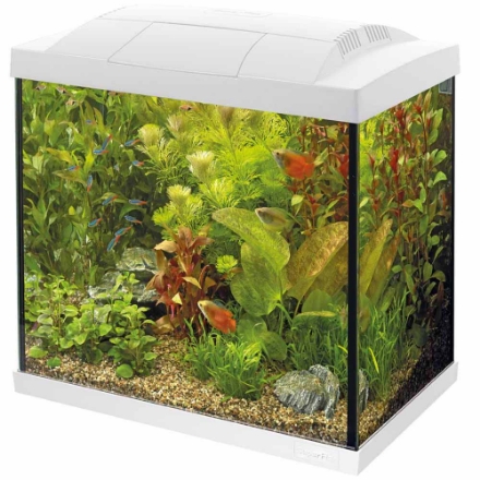 Agrandir l'image de SUPERFISH START 30 TROPICAL KIT BLANC Image de SUPERFISH START 30 TROPICAL KIT BLANC