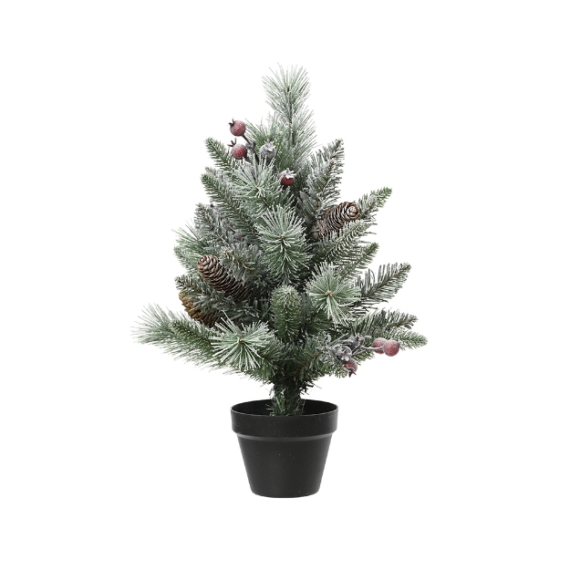 Image de MINI-SAPIN GIVRÉ - EVERLANDS