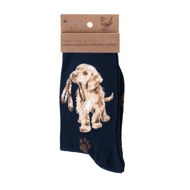 Image de Chaussettes Labrador 'Hopeful' - Wrendale