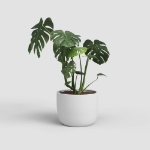 Image de CACHE-POT URANIA 26CM BLANC