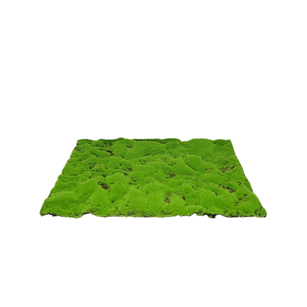 Image de Tapis mousse artificielle moyen 70x50cm - My Village