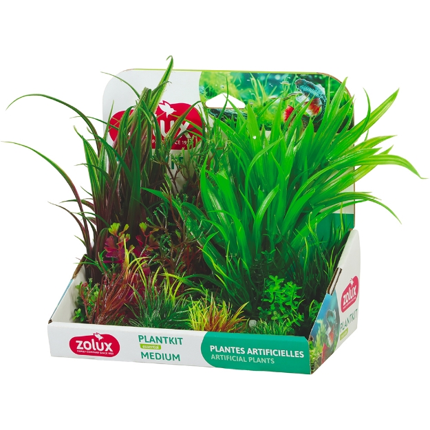 Image de PLANTKIT MEDIUM N 3