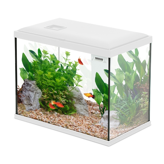 Image de AQUA INITIO 35 BLANC