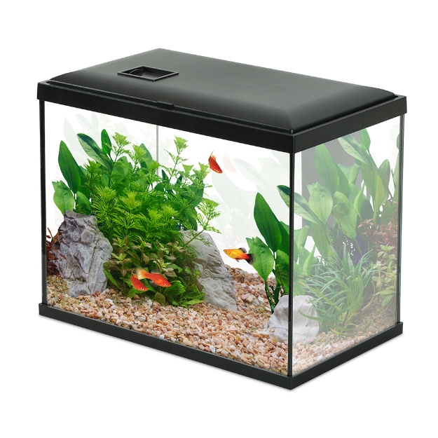 Image de AQUA INITIO 35 NOIR