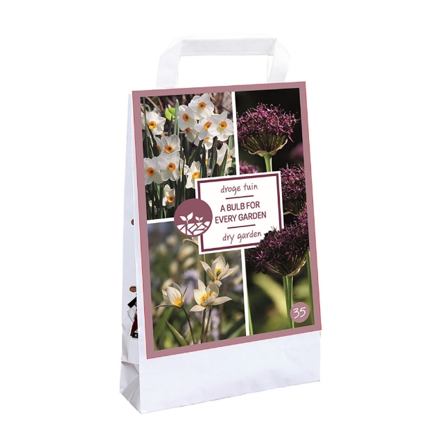 Image de 1 SAC 35 BULBS FOR EVERY GARDEN - jardin sec