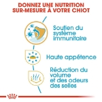 Image de BHN Chihuahua Puppy 1,5kg