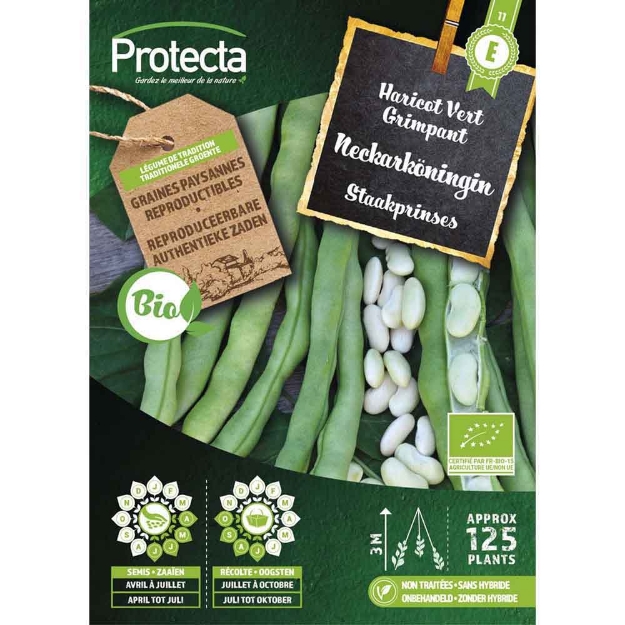 Image de Graines haricot vert grimpant neckarköningin fr-bio-15