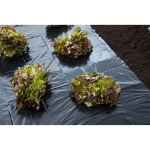 Image de FILM PAILLAGE  1,40 X 5 M