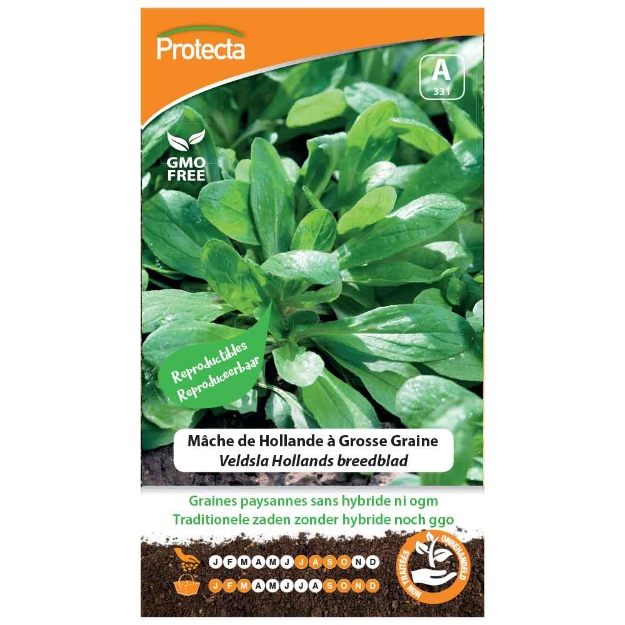 Image de Graines de mâche de hollande à grosse graine - Protecta