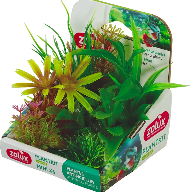 Image de PLANTKIT MINI X6 MOD2