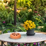 Image de Spirales de citronnelle