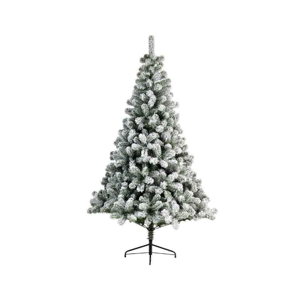 Image de sapin Imperial enneige charnie