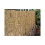 Image de Paillon en tiges de roseaux naturels (pelés) - occultant 2/5 - 1 x 3 m
