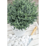 Image de Green Elements® 'Blue Moon' (PBR)