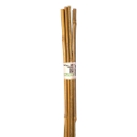Image de TUTEUR BAMBOU NAT - H60 CM - 10 X