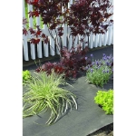 Image de GEOTEX FEUTRE EN PLASTIQUE VEGETAL 1.05*10M