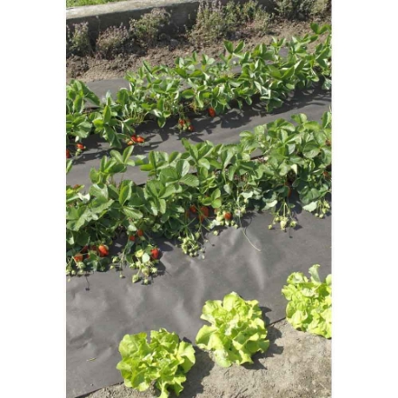 Toile De Paillage Professionnelle 1,05x100 M - Anti Mauvaises Herbes Pour Potager Et Jardin - Vert Résistant