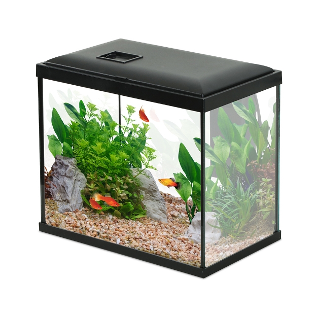 Image de AQUA INITIO 30 NOIR