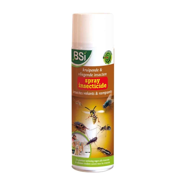Image de Target Bug and Fly Spray Insecticide | 500 ML
