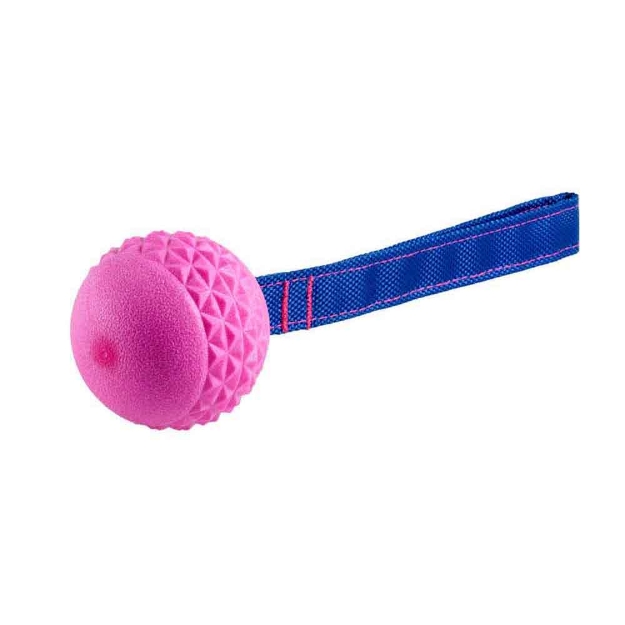 Image de Jouet chien TPR balle avec corde Red Frutti 6,3cm