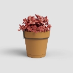 Image de KIT BALCON POT CAPRI RÉS.EAU 20CM JAUNE MIEL