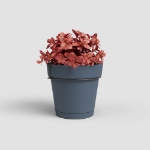 Image de KIT BALCON POT CAPRI RÉS.EAU 20CM BLEU ARDOISE