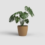 Image de POT SAN REMO MATE 25CM MOUTARDE