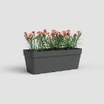 Image de JARDINIÈRE CAPRI RÉS. EAU 50CM V2 ANTHRACITE