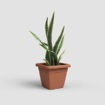 Image de POT VENEZIA CARRÉ 40CM terre