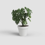Image de POT CAPRI 50CM BLANC